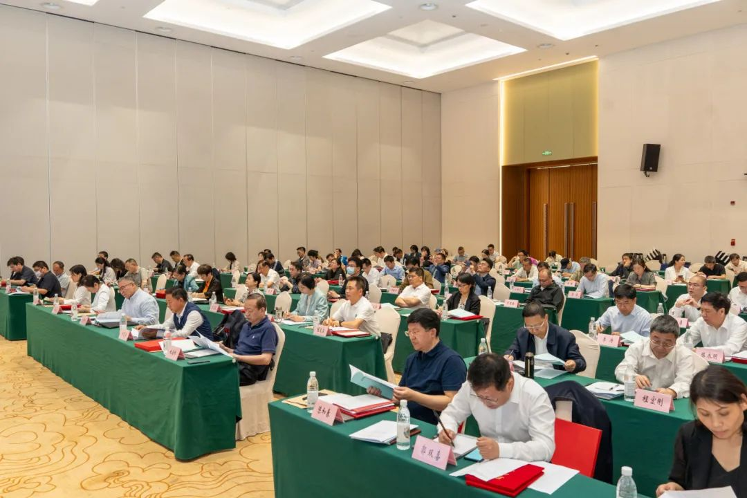 图片7